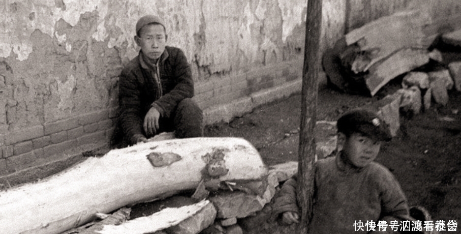 古代闹饥荒时,为何灾民放着河里的鱼虾不抓,非要吃草根啃树皮?