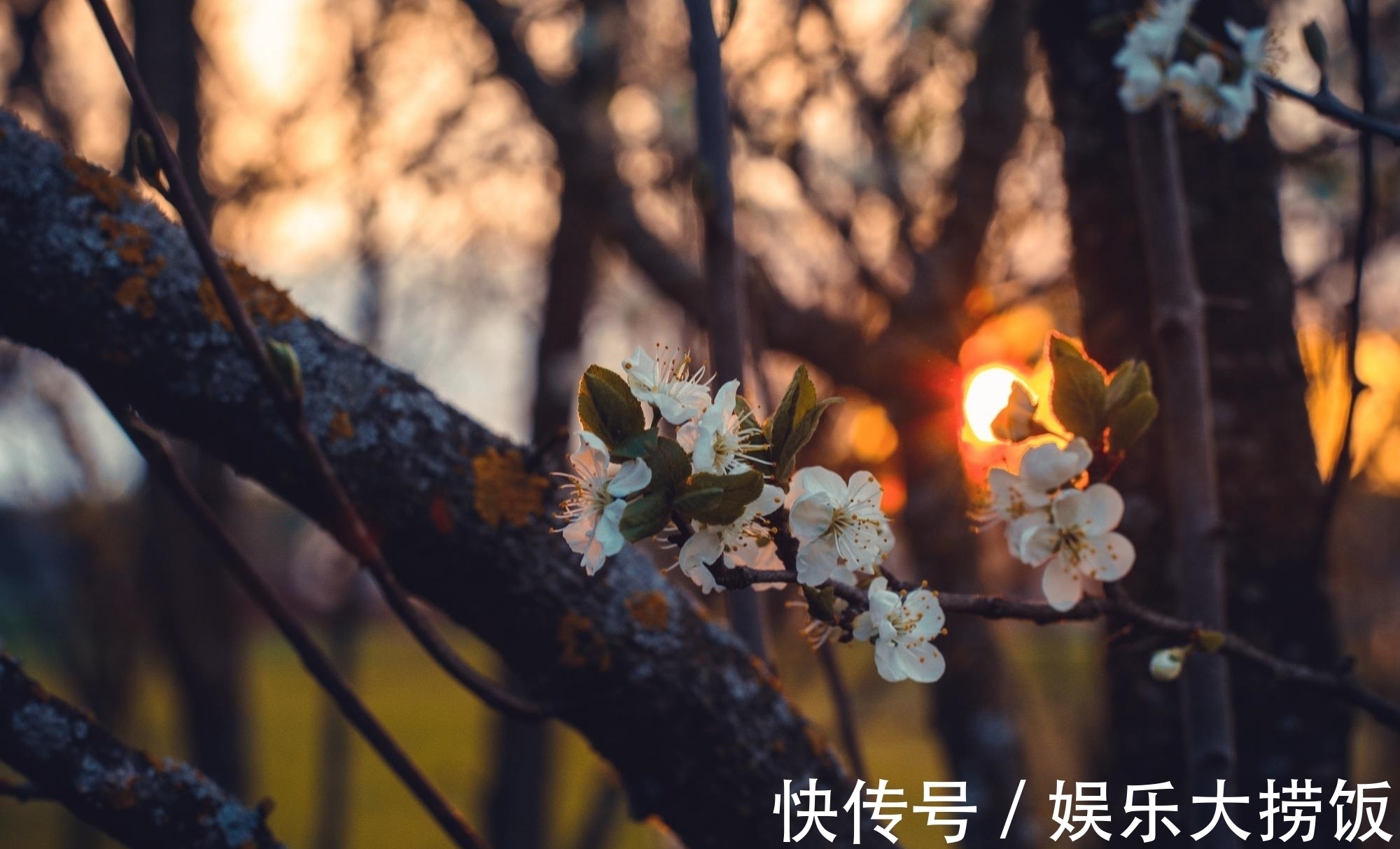 浑融！李商隐模仿杜甫的一首诗，写于送别宴上，后人评价：仿的有深度