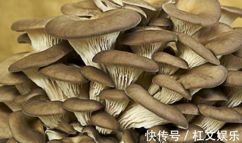 营养|聪明人都在吃3种蔬菜,营养丰富、延缓衰老,越吃越健康