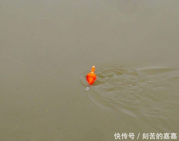 钓友注意旧鱼漂别用了,新式“七星漂”一出,不愁大鱼钓不到