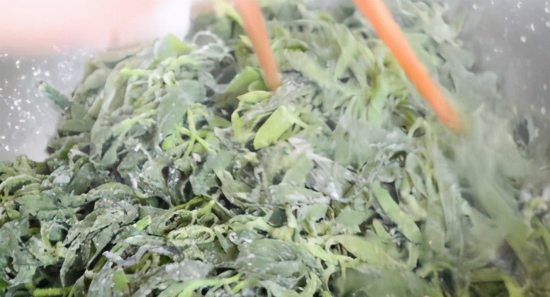 地肤子|越吃眼睛越明亮的一道菜,孩子吃最好,营养解馋,给肉都不换