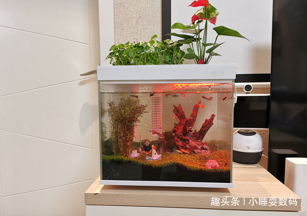哪种鱼缸更适合养鱼画法几何AI智能鱼缸,水质监测还能自动喂食