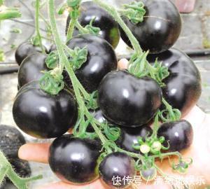 同龄人|女性不想被同龄人比下去，每天当零食吃，皱纹不见了，皮肤水嫩嫩