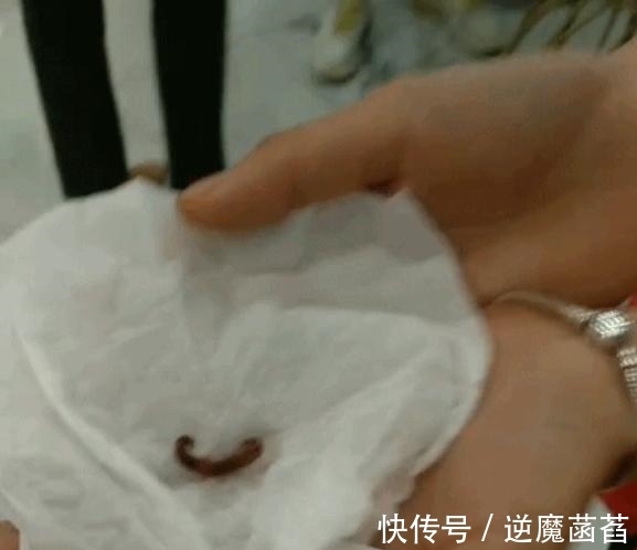 甲鱼|生吃蚯蚓会感染寄生虫吗?盘点中国三大“活菜”,让人头皮发麻