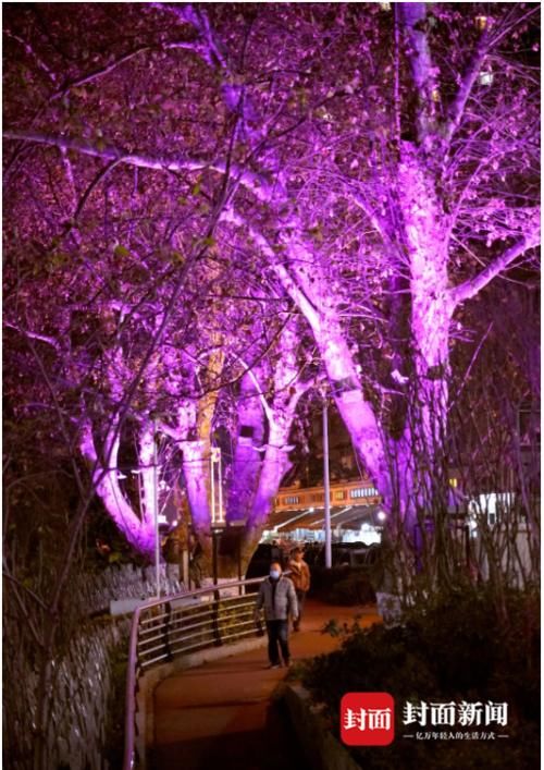 灯笼亮了 成都年味浓了|图说生活 |灯笼亮了 成都年味浓了\＂,\＂i11\＂:\＂图说生活