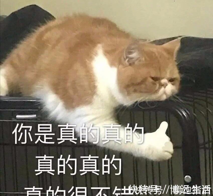 爱丽|这些平价口红中的老网红,让人意难忘,第一支大牌都没它的色号?