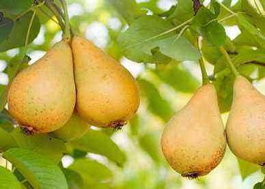 护肤|女性不愿变老太婆,要多吃3种食物,美白护肤,滋润肌肤!