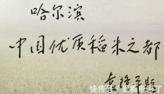 士兵突击&袁隆平书法他的书法质朴厚道,风骨遒劲透露书卷气!