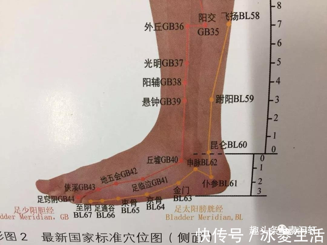 伸筋草|一边上火一边双脚怕冷,上热下寒体质怎么过冬今天彻底讲清楚!