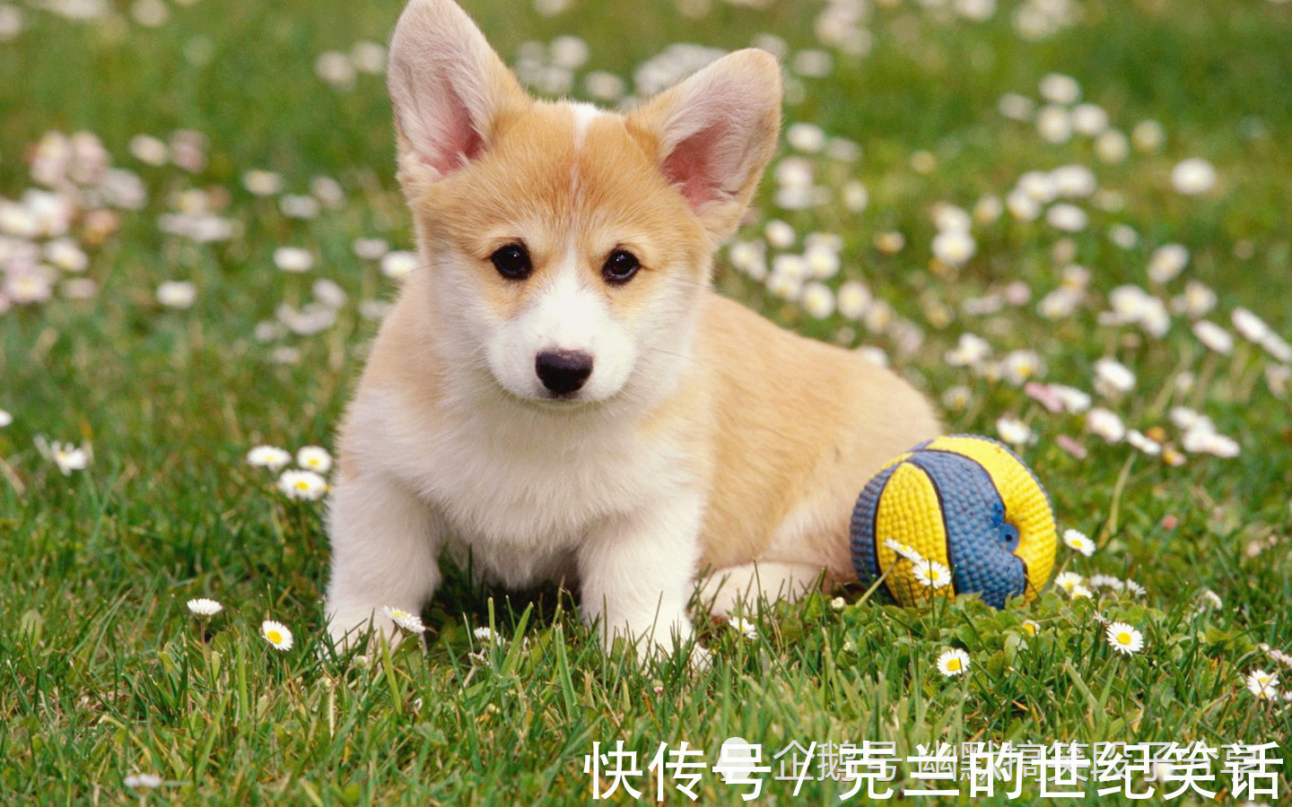 |幽默笑话:男友花钱一向大手大脚,在我们交往没多久后