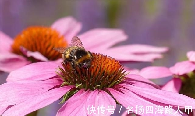 财神|未来半年财神下凡，财气缭绕，天降桃花，机遇多多的3星座！