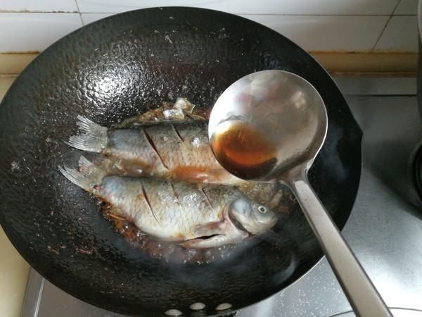 甲鱼|被“误解”最深的鱼,它的全身是宝,比甲鱼营养,一斤5元没人买