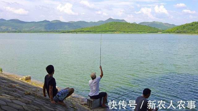 湖北一男子野钓遇上鳜鱼窝,新手在此也能连杆,网友:请假去钓鱼