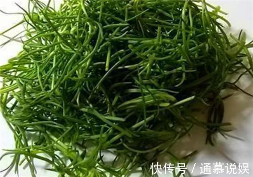 維生素c|人到中年想要身體好，常吃4種食物，降壓減脂，抗衰老，早吃早好