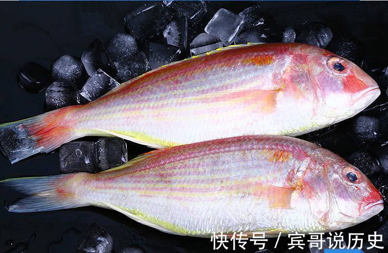 鲅鱼|买鱼时,5种鱼无法养殖,碰到了就买了吧!多吃了对身体有好处