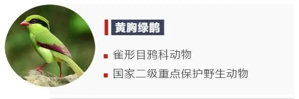 穿衣搭配|还在为穿衣搭配发愁？让“时尚达人”给你一些新思路