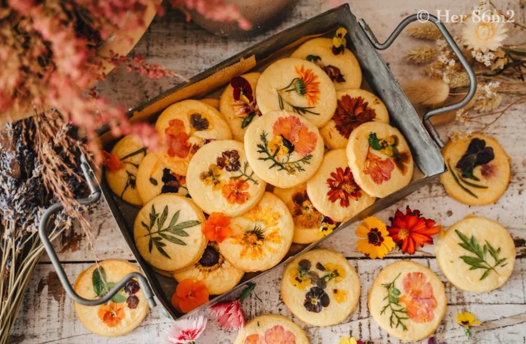 德国主妇将8㎡阳台打造成菜园，不花一分钱种够全家吃的菜