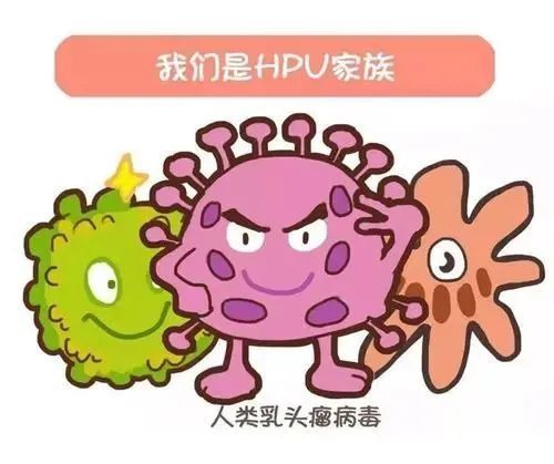 九价|科普｜HPV疫苗何时打？打了就不用担心得宫颈癌了？