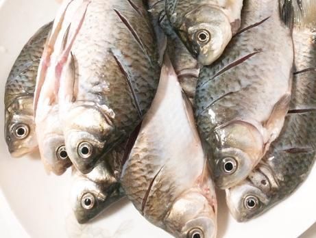 秋后碰到我从不还价的鱼，一买就是5斤，营养极高，煎着吃特香