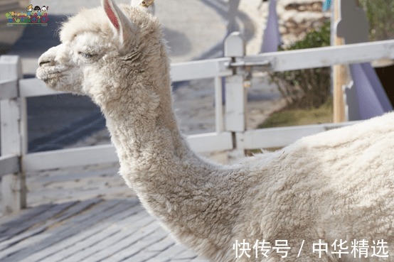 到底发生了什么，让范丞丞直呼 “温州铁定溜溜太可怕了”?!