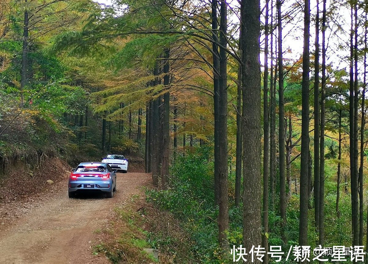 美景|曝光黄金古道开车搭帐篷，希望来年还能在那里，赏景拍照片