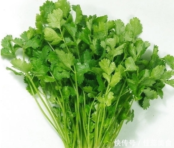 绿色|阳台不要再浪费，聪明人此样做，绿色健康，吃不完还可以卖