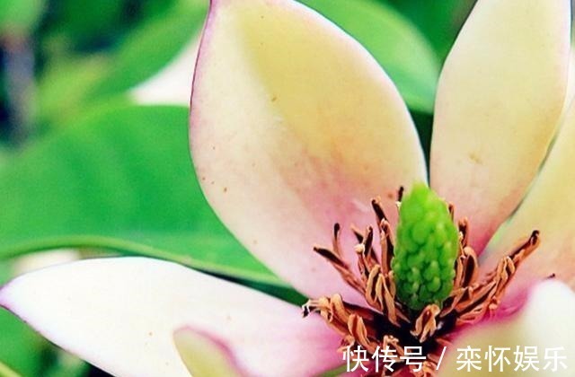 心态|一生没病没灾的3个生肖,心态积极人长寿,一生开心无忧愁