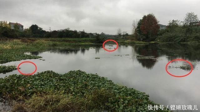 “三分钓技,七分钓位”是真的吗该如何选择