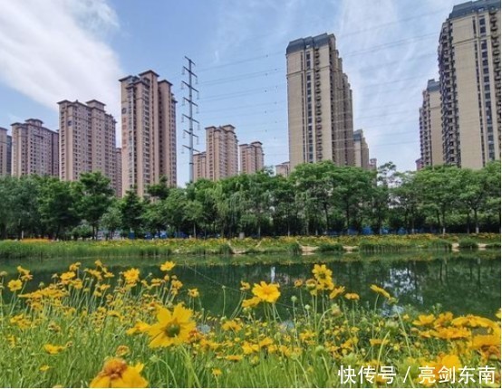 大城市|如果今年不买房，10年后会与买房的人有什么区别？过来人这么说
