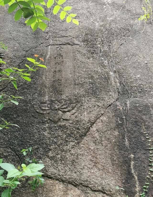 春日再游香山（作者：漳浦 宽心）