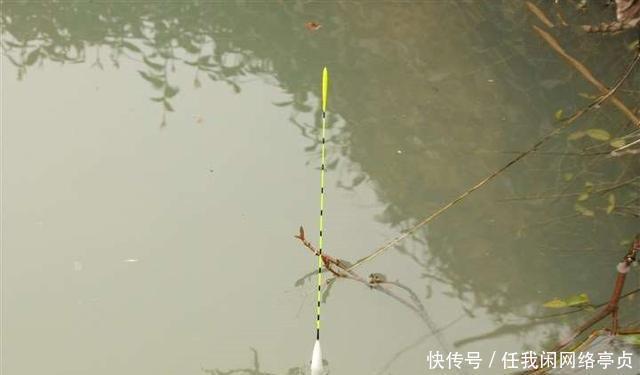 弄明白顶漂的原因,提竿抓口,中鱼率不比顿口差