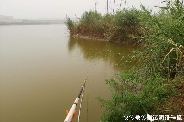 钓鱼警惕渔具“拾荒者”，小心再给你来个顺手牵羊！