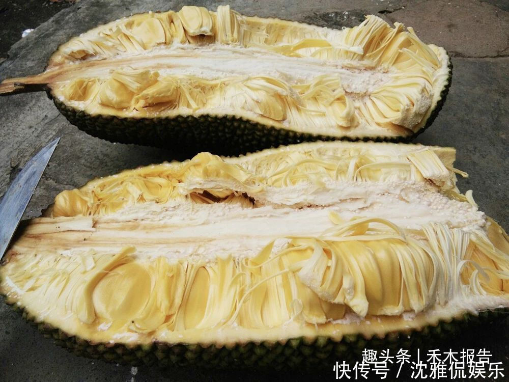  菠萝蜜的果|很多人只吃果肉，却不知果核也能吃，煮熟后似板栗，扔掉太可惜了