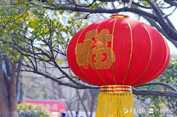 老年|就地过年春在身边｜济南千佛山红红福字高高挂，满山福气迎大家