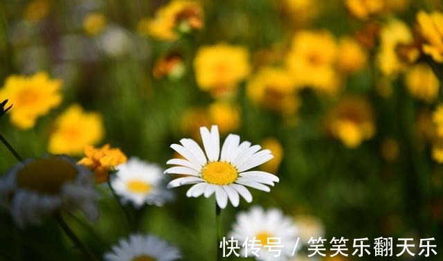 皮肤的秘密$读《皮肤的秘密》一书,分享我们皮肤气味的作用!