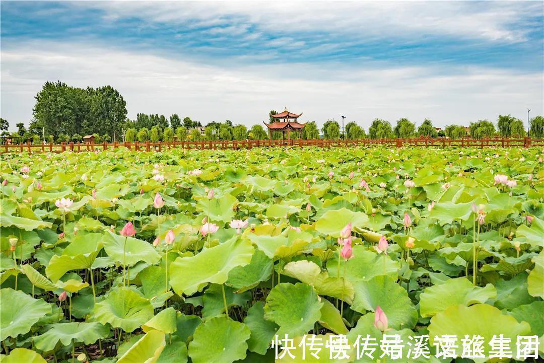 乌托邦|避暑胜地，隐藏在当涂的乌托邦，一到夏天便美成天堂