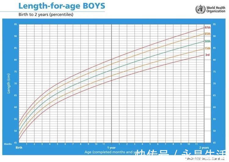 身高|孩子个子矮是“发育晚”还是“发育迟缓”？生长曲线会说话