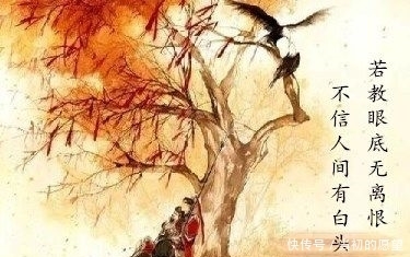 辛弃疾的一首鹧鸪天情深意浓,不仅文笔细腻,而且辞简理博