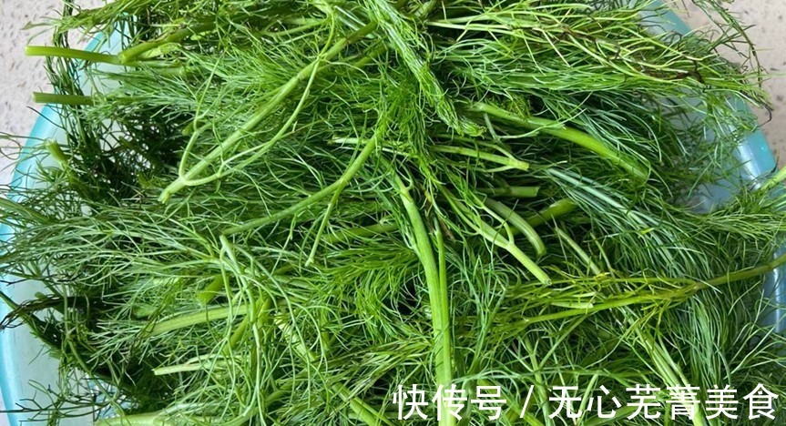 入秋后,多吃此菜,钙是牛奶的3倍,铁是核桃的2倍,蒸包子吃真香!