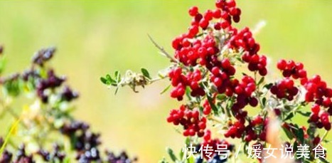 降压|女性想要身体好,要坚持吃的食物,降压减脂,预防子宫早衰