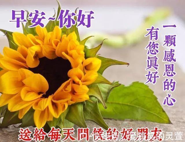 早安|早上好朋友，最棒早安问候祝福语动画表情动态图片，温馨早安问候语图片