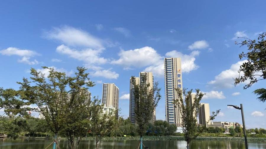 赵王|赵王河畔|人生自有别,一席当珍藏