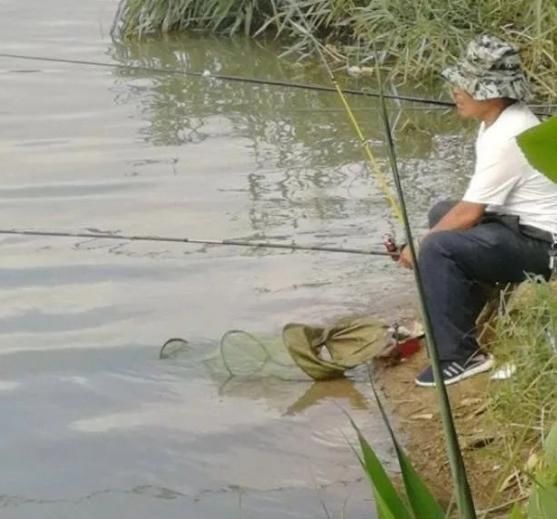 鱼饵|钓鱼界公认的“万能鱼饵”,适用于任何鱼类,家家户户都有