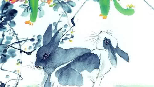 属相|最有品味,会穿衣、会打扮,魅力四射的3属相,有你吗?