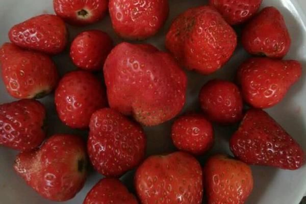 女性|女性体内黄体酮不足,身体有什么变化?吃什么可以补充?望重视