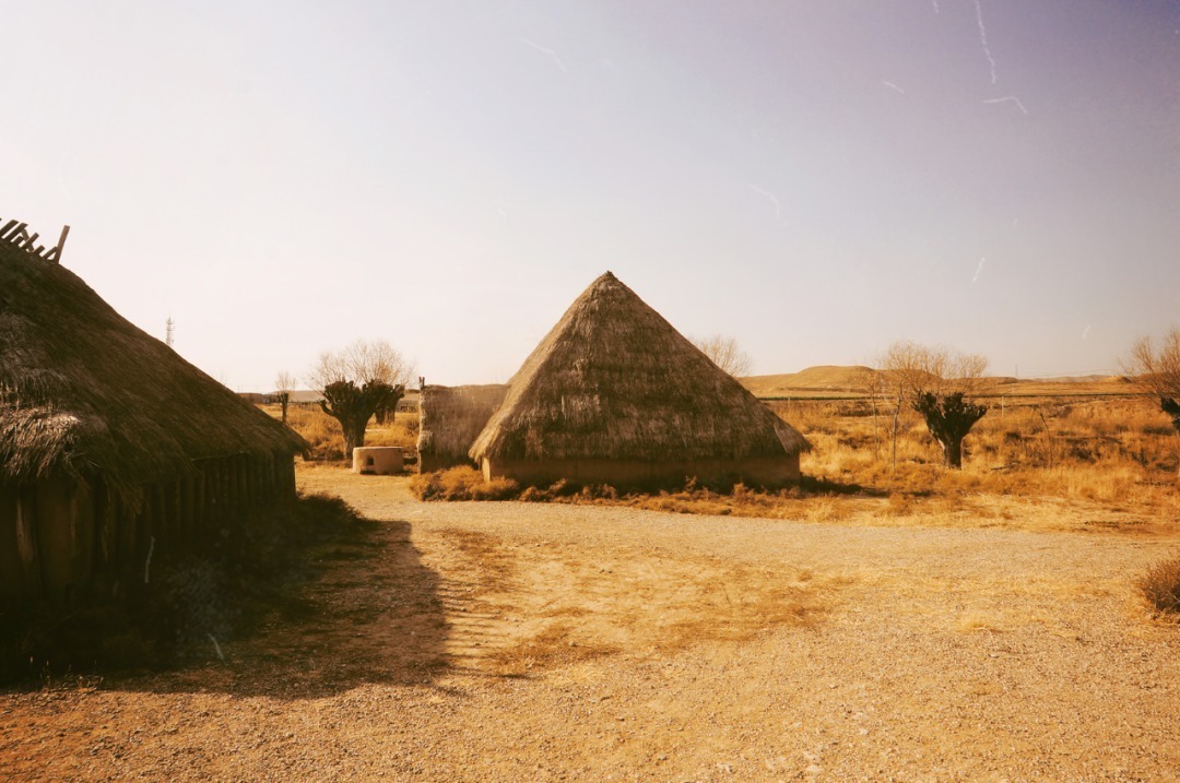 脚踏|一路银川,水洞沟遗址脚踏黄土来,机关四起藏兵洞