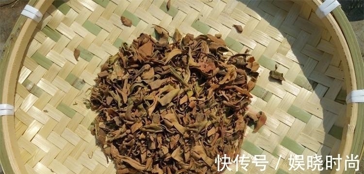 止咳|农村一种奇特野草,生长在石头上价值却很高,是民间“止咳”良药