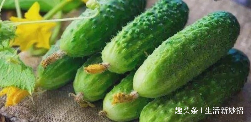 吃了这么久黄瓜才发现，辨别激素黄瓜这么简单，以后可别再买错了