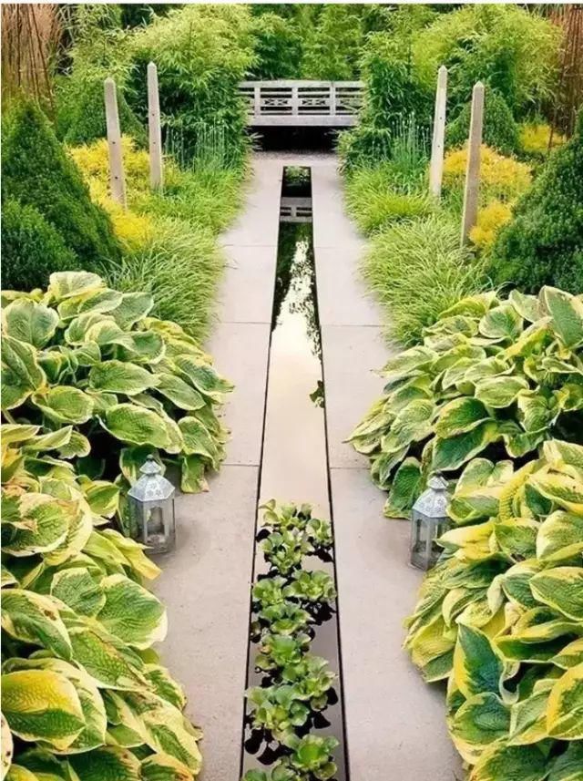 这才是花园应有的样子！