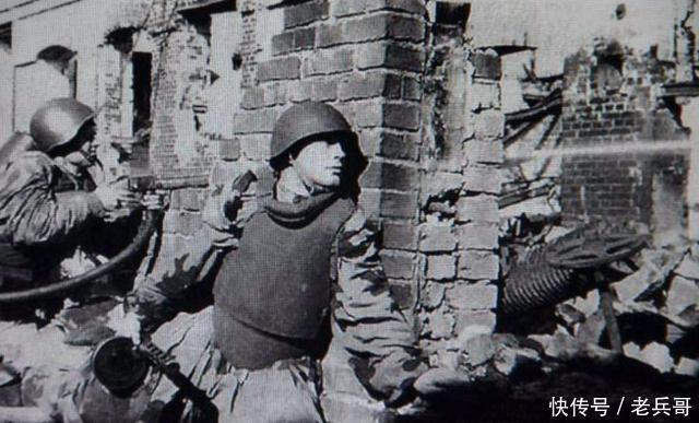 平均|斯大林格勒成杀人机器!保卫战中新兵活不过1天,军官平均活3天